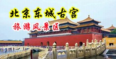 淫荡换妻乱交中国北京-东城古宫旅游风景区